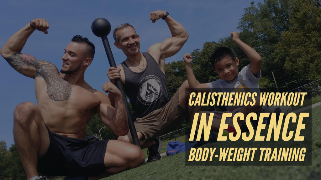 Calisthenics Workout    in essence body-weight training