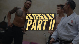 Brotherhood part II