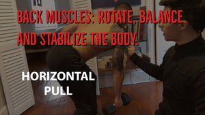 BACK MUSCLES: Rotate balance and stabilize the body